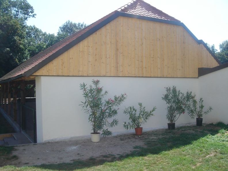 DSC00745.JPG