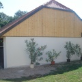 DSC00745
