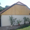 DSC00746
